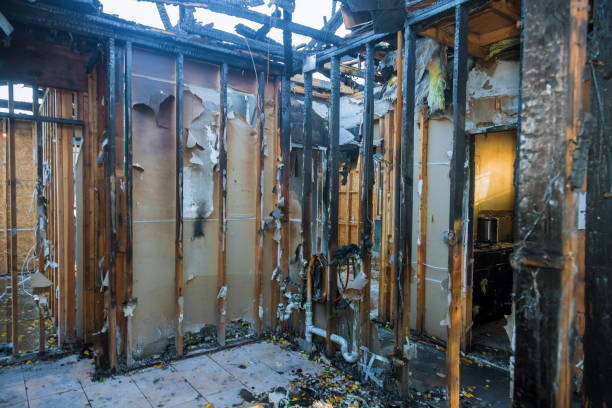 Professional Soot Cleanup technician working in Hustisford, WI